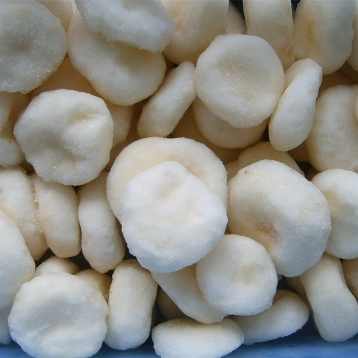 Water Chestnut