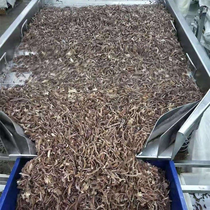 IQF Black fungus strips