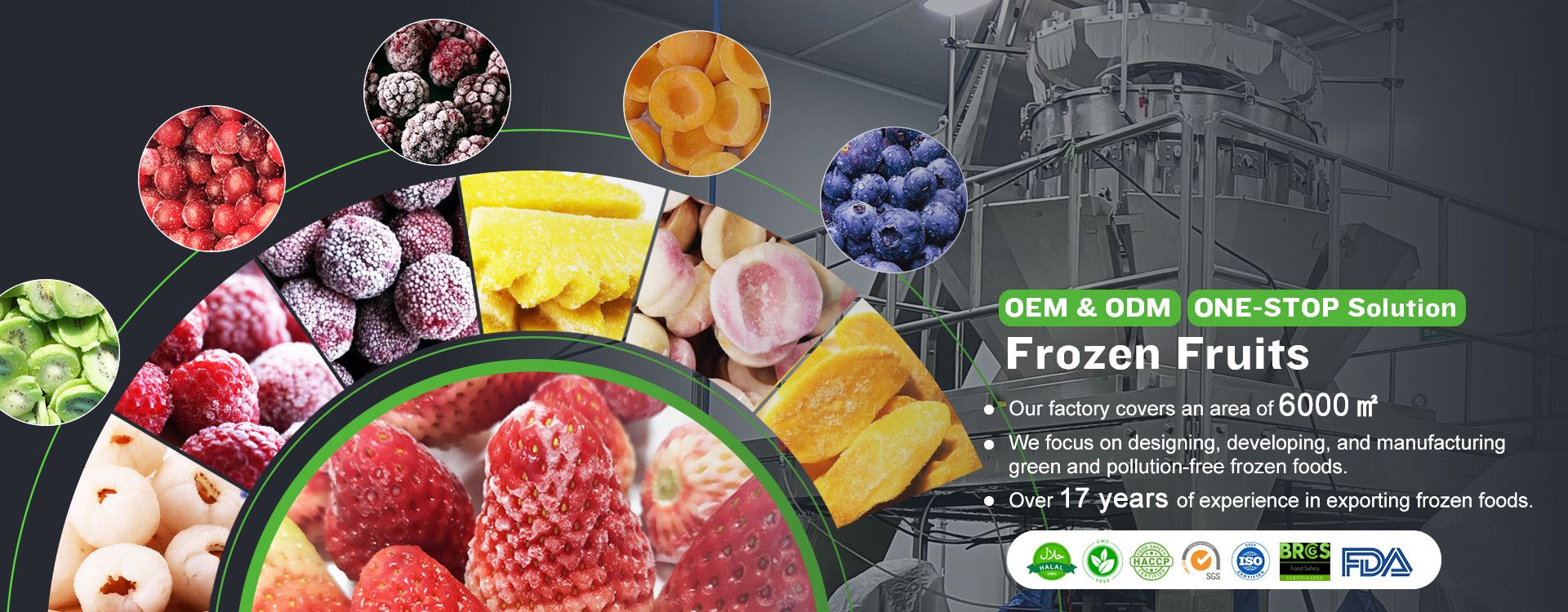 Frozen Fruits