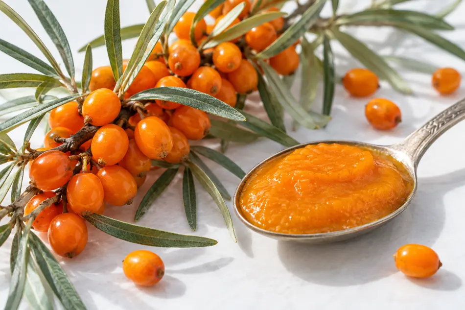 Sea buckthorn taste