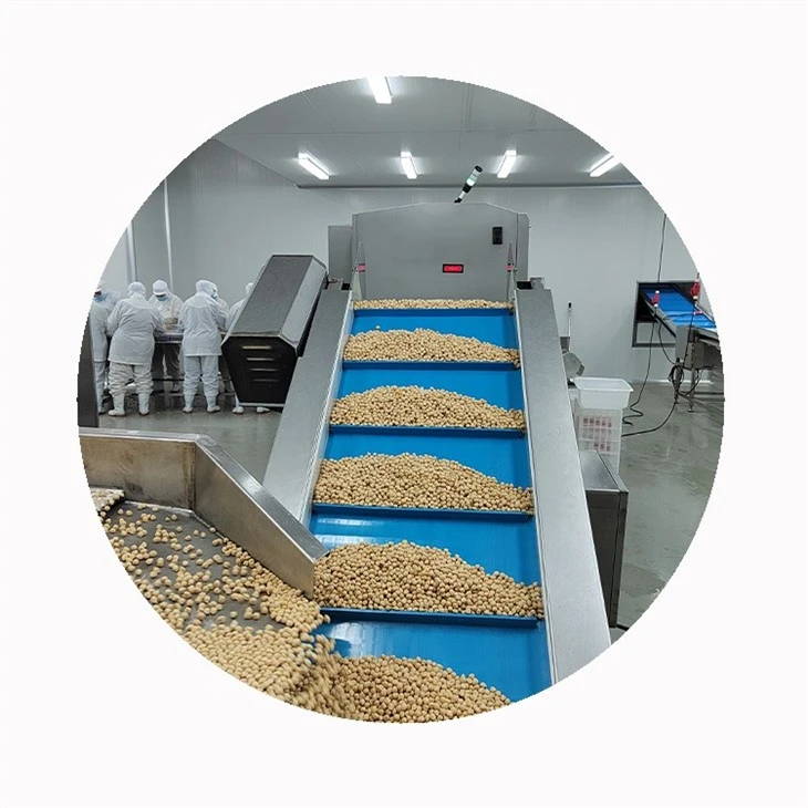 IQF Frozen Chickpeas factory