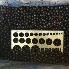 Dondurucu taze toplu yaban mersini