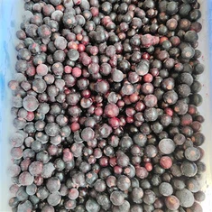 Dondurulmuş yaban mersini maliyeti